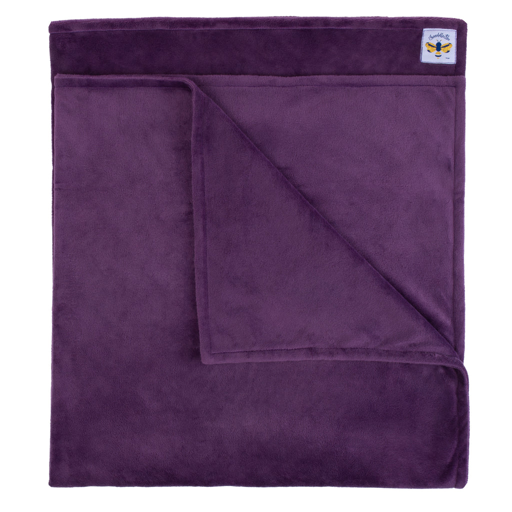 Sample Sale Minky Bee  Stroller Blanket ~ PLC Purple